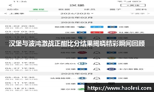 汉堡与波鸿激战正酣比分结果揭晓精彩瞬间回顾